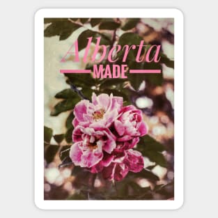 Alberta Made Poster with Alberta roses Sticker